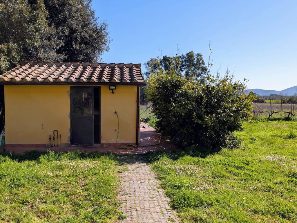 Rustico / casale a Grosseto - Foto 4