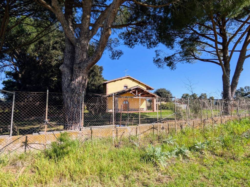 Rustico / casale a Grosseto - Foto 5