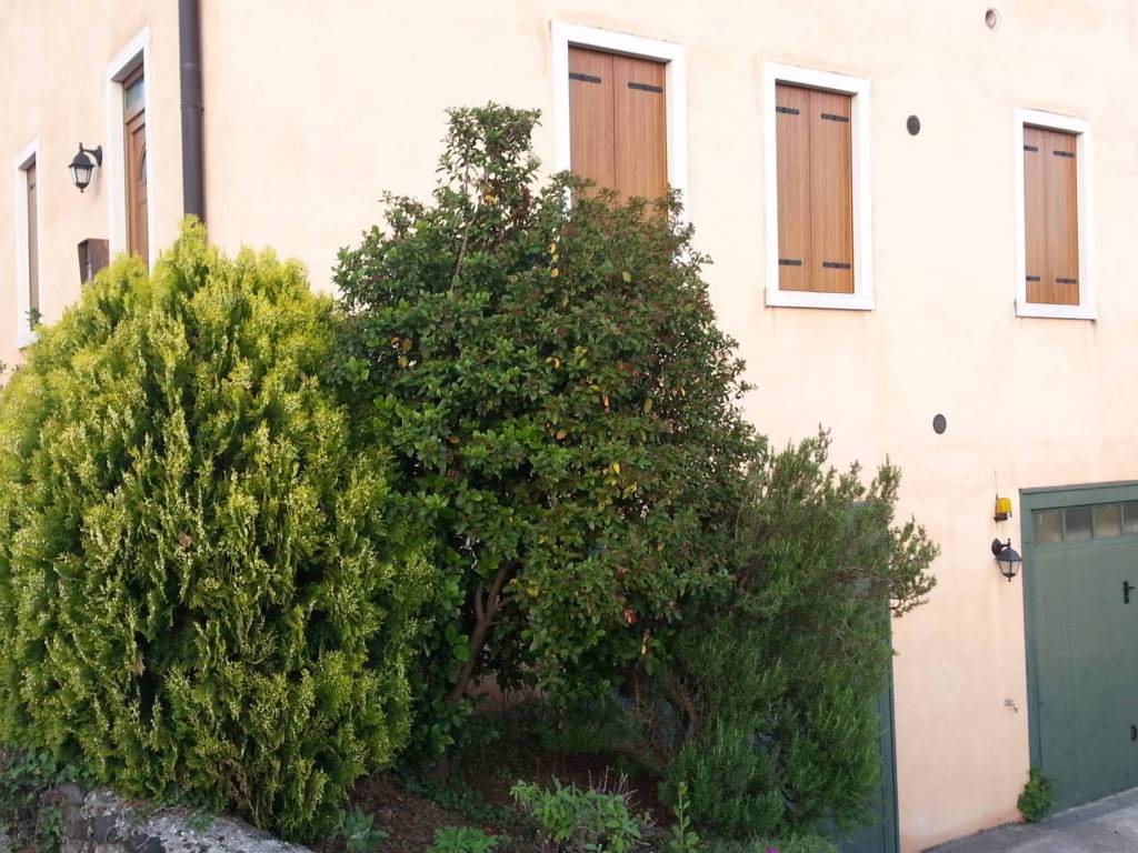 Appartamento a Fara vicentino - Foto 3