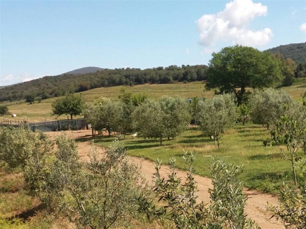 Terreno a Grosseto in ZONA ROSELLE STRADA DELLO SBIRRO - Foto 2