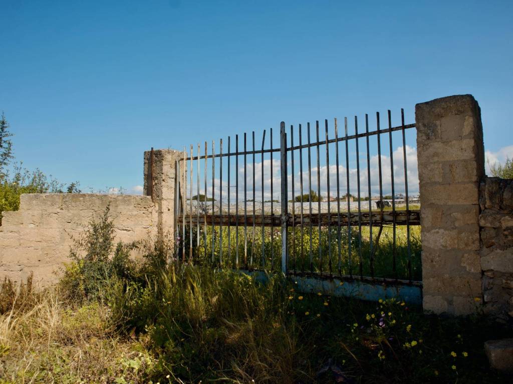 Terreno a Santa croce camerina in Contrada Pellegrino - Foto 3