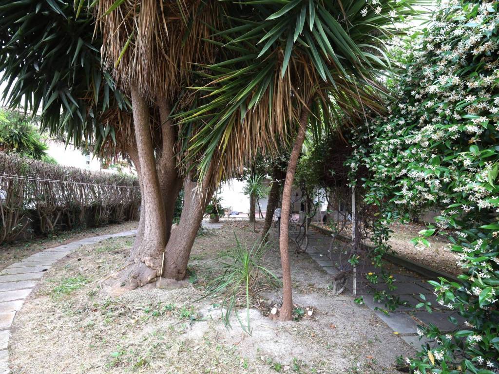 Villa a Roseto degli abruzzi in Via Adriatica, 5 - Foto 2