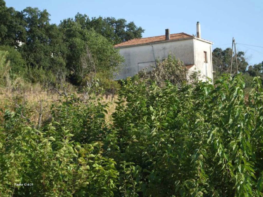 Rustico / casale a Rivello in Contrada Santa Margherita - Foto 4