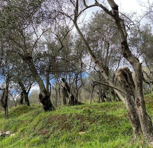 Terreno a Castelnuovo magra in Via Molino Del Piano - Foto 2