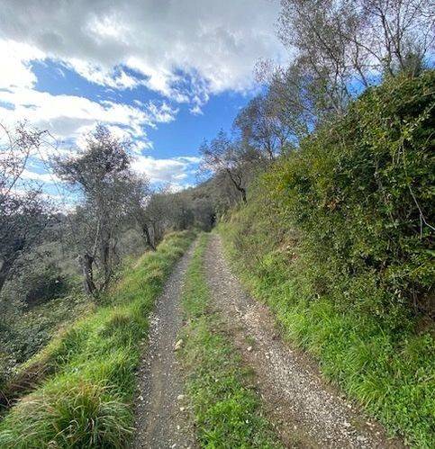 Terreno a Castelnuovo magra in Via Molino Del Piano - Foto 4