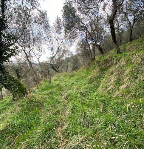 Terreno a Castelnuovo magra in Via Molino Del Piano - Foto 5