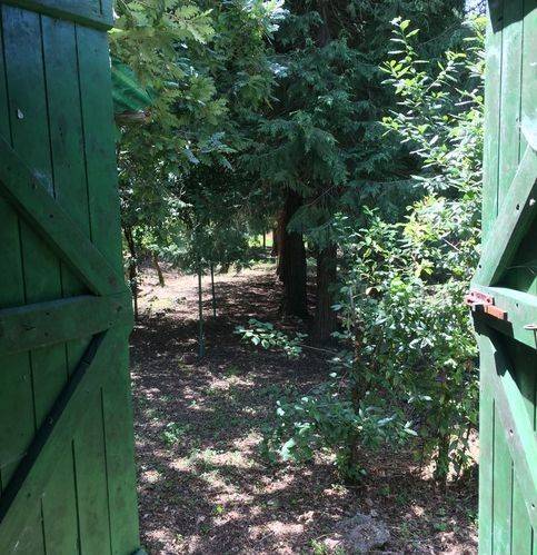 Rustico / casale a Lerici in Località Rocchetta - Foto 3