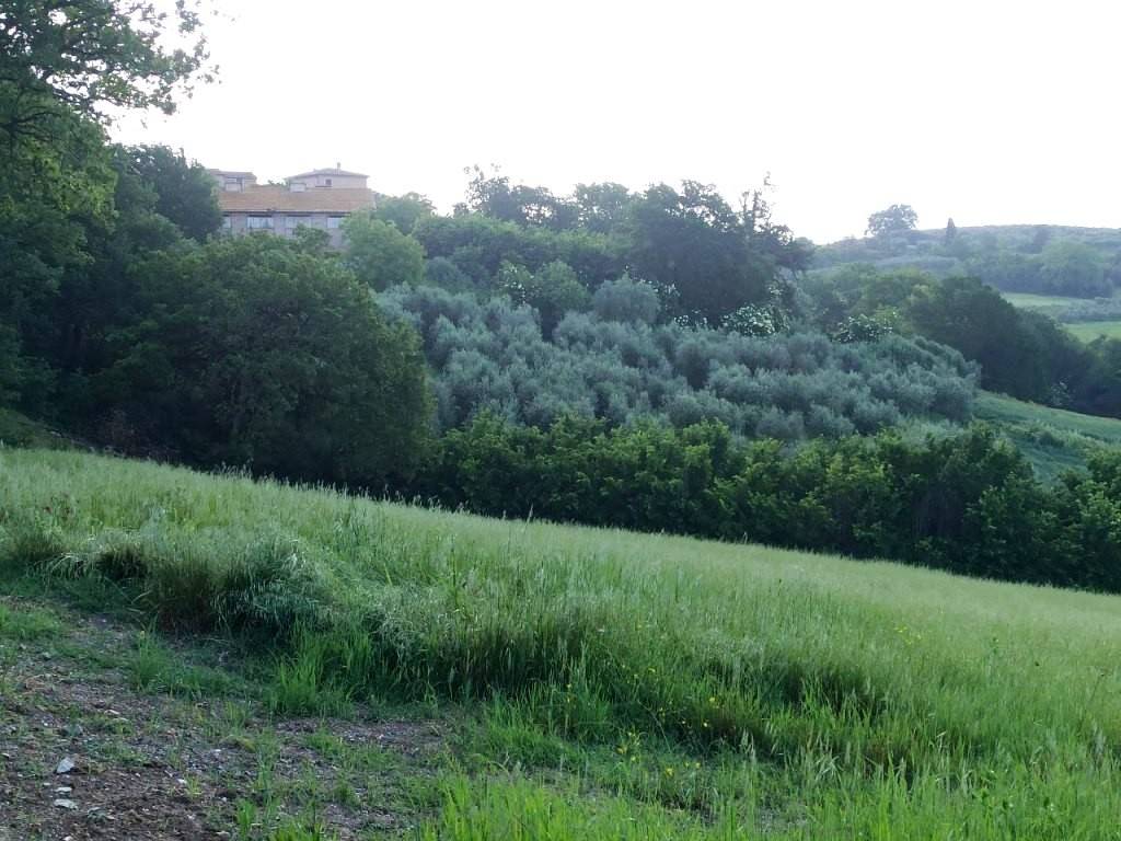 Immobile a Castiglione del lago in Frazione Gioiella - Foto 5