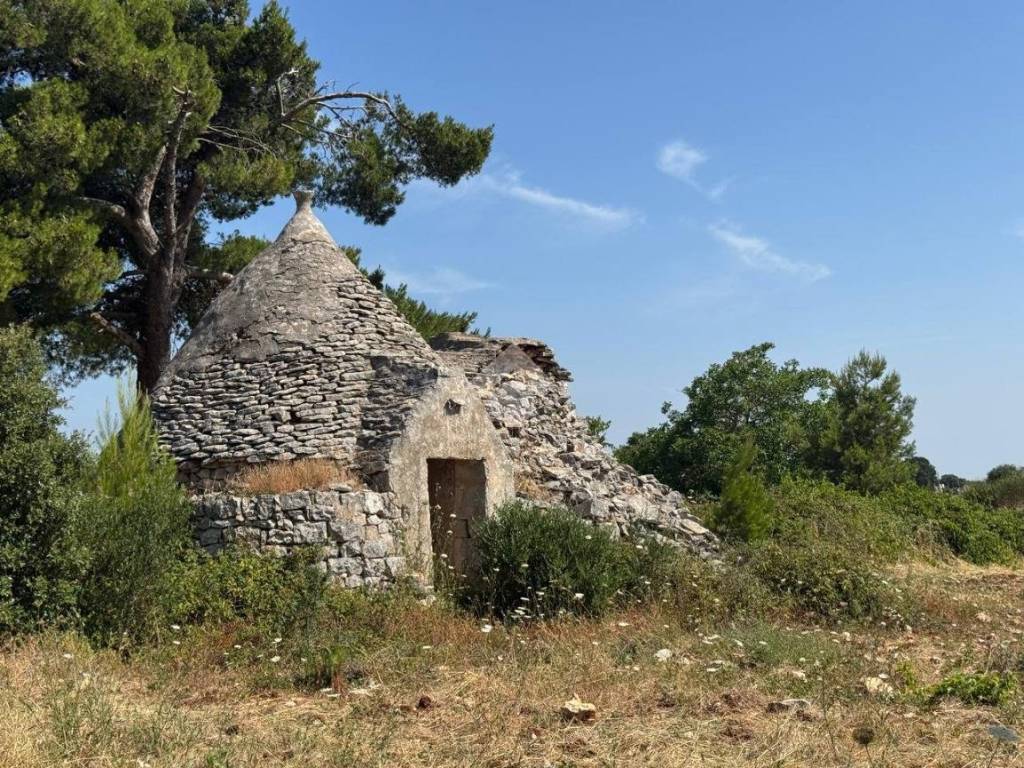 Rustico / casale a Martina franca in Contrada porcile - Foto 2