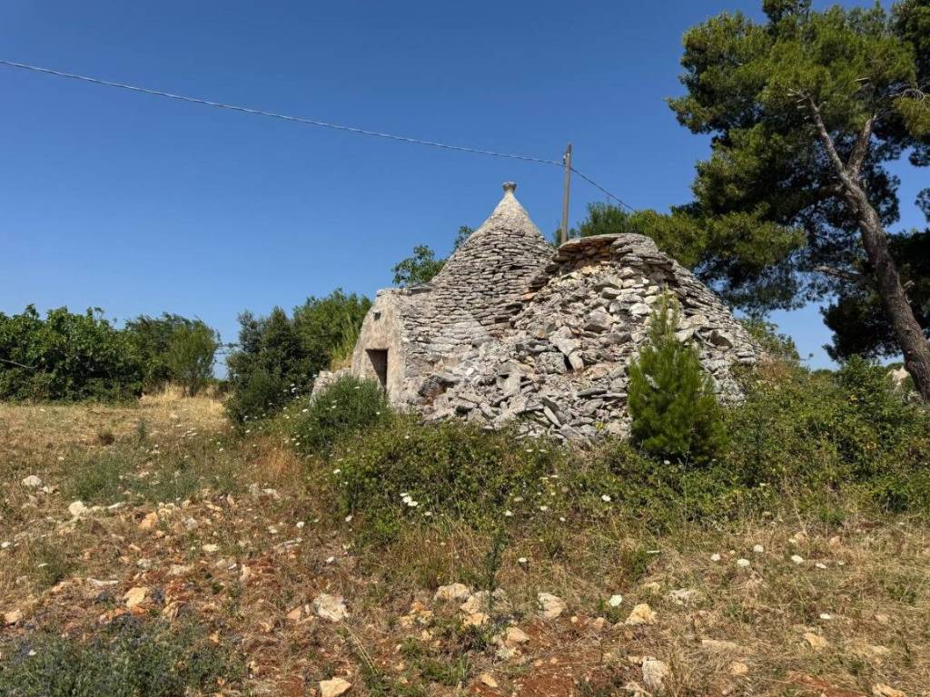 Rustico / casale a Martina franca in Contrada porcile - Foto 3
