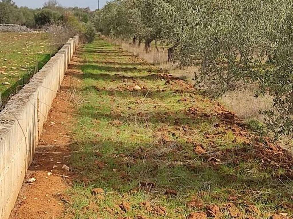 Terreno a Manduria in Contrada Pozzi - Foto 2