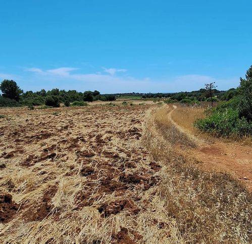 Terreno a Manduria in Strada Provinciale - Foto 2
