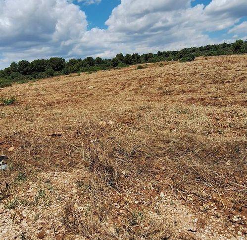 Terreno a Manduria in Strada Provinciale - Foto 3