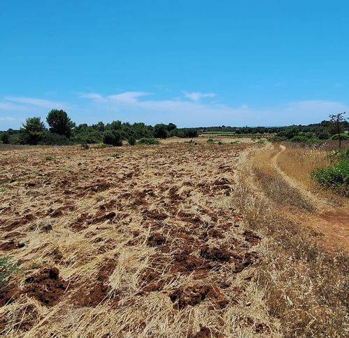 Terreno a Manduria in Strada Provinciale - Foto 4