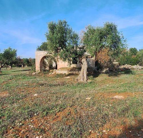 Rustico / casale a Manduria in Strada Provinciale Maruggio - Manduria - Foto 4