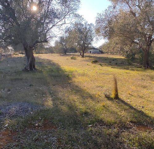Rustico / casale a Manduria in Strada Provinciale 94 - Foto 4