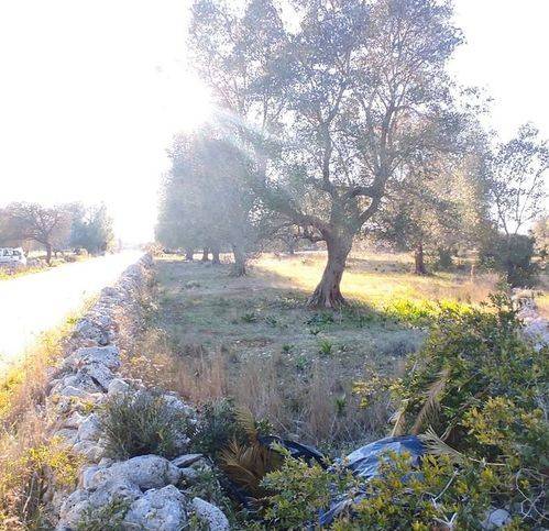 Rustico / casale a Manduria in Strada Provinciale 94 - Foto 5