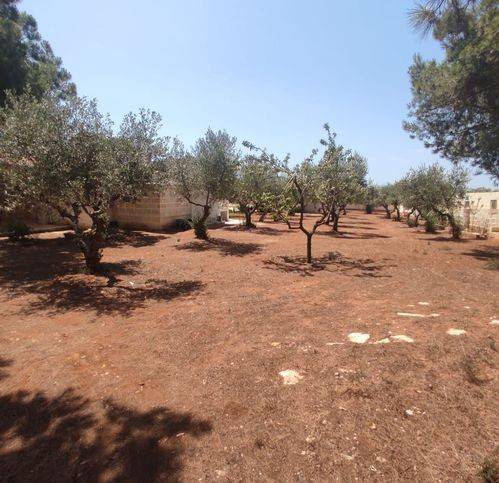 Villa a Manduria in Strada 117 - Foto 4