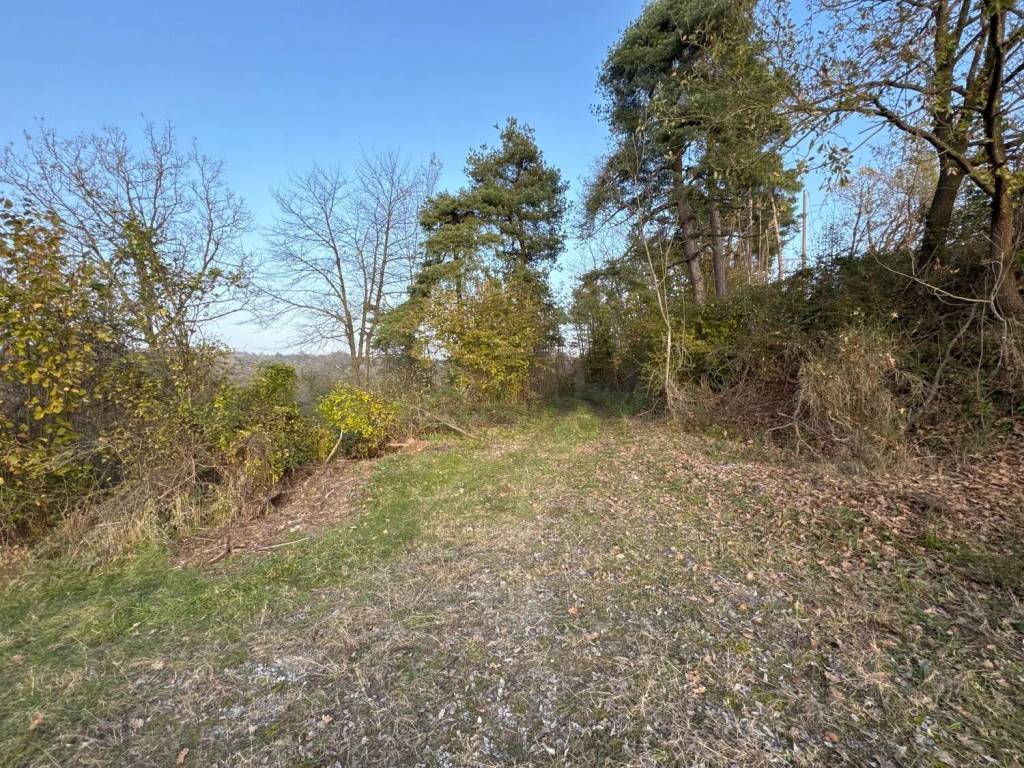 Villa a Dego in Località Berri - Foto 3