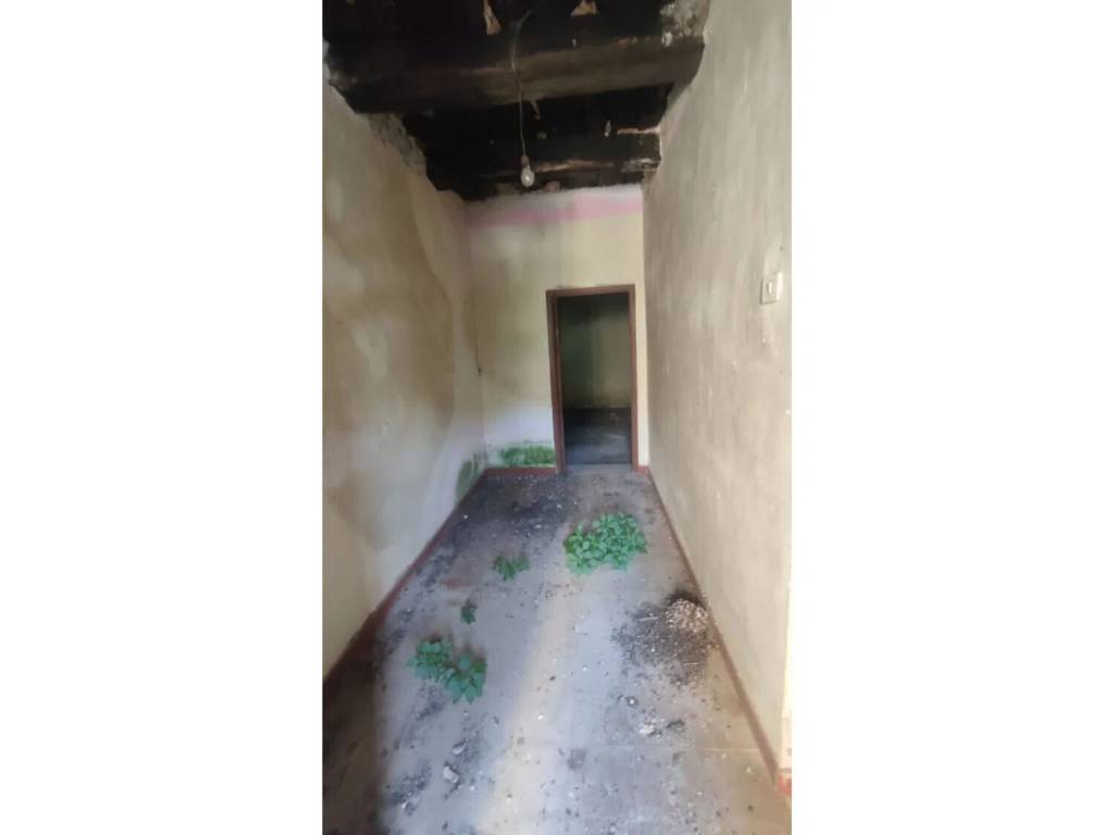 Rustico / casale a Centola in Via Cuomo S.N.C. - Foto 5