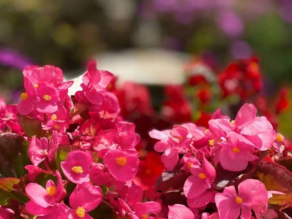 Appartamento a Cairo montenotte - Foto 3