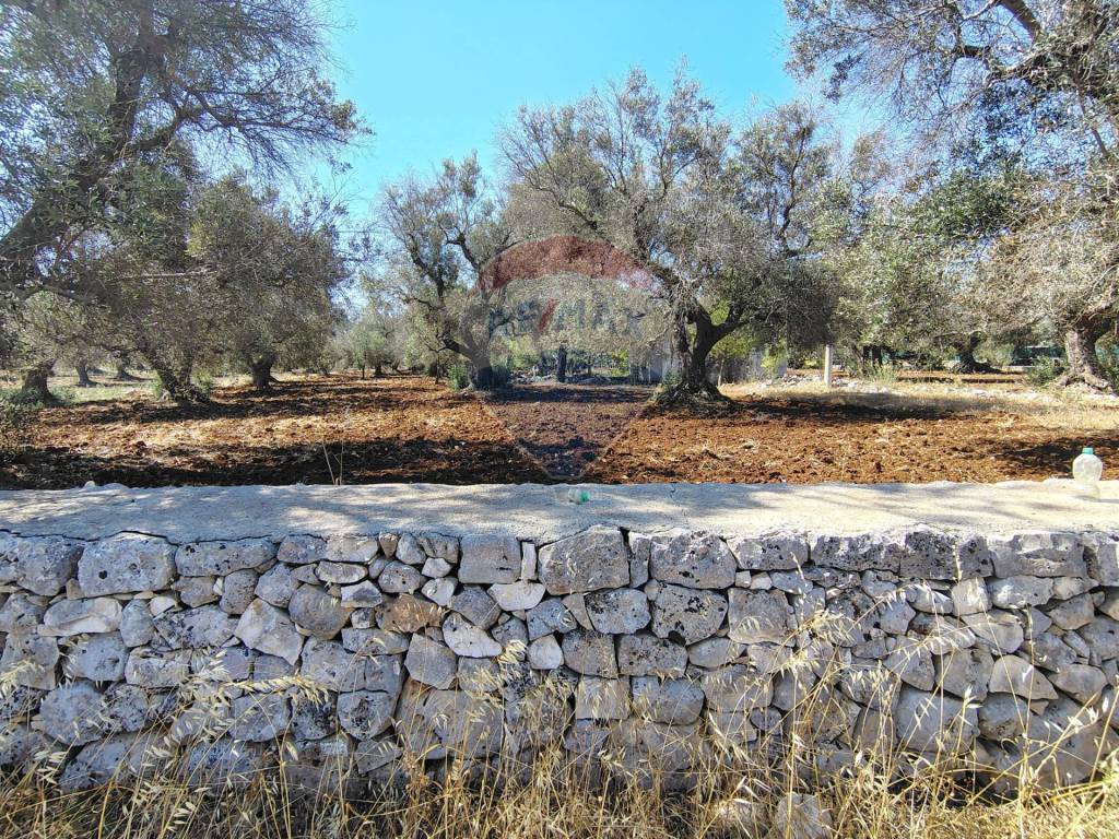 Rustico / casale a Ostuni - Foto 4