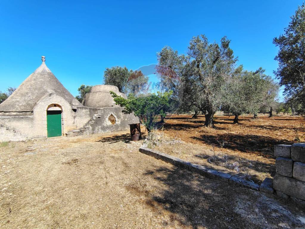 Rustico / casale a Ostuni - Foto 2