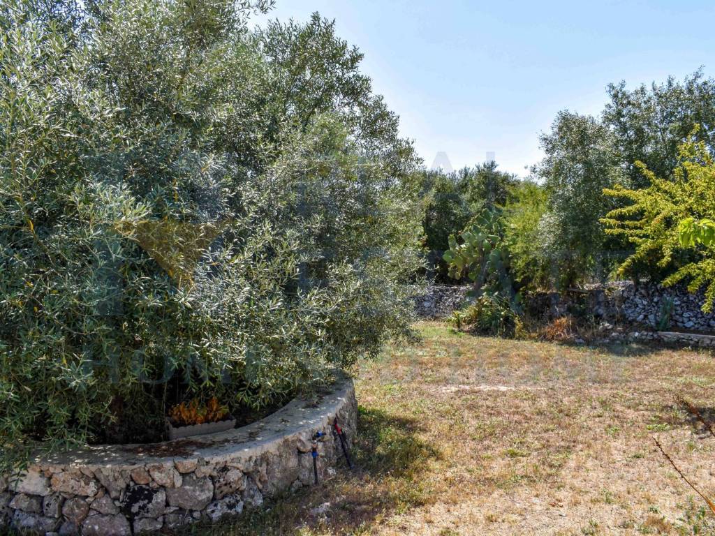 Rustico / casale a Noto in Via Tommaso Fazello, 228 - Foto 3