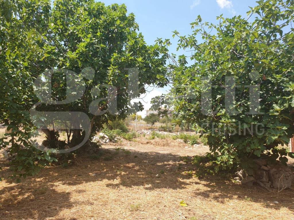 Villa a Noto - Foto 5