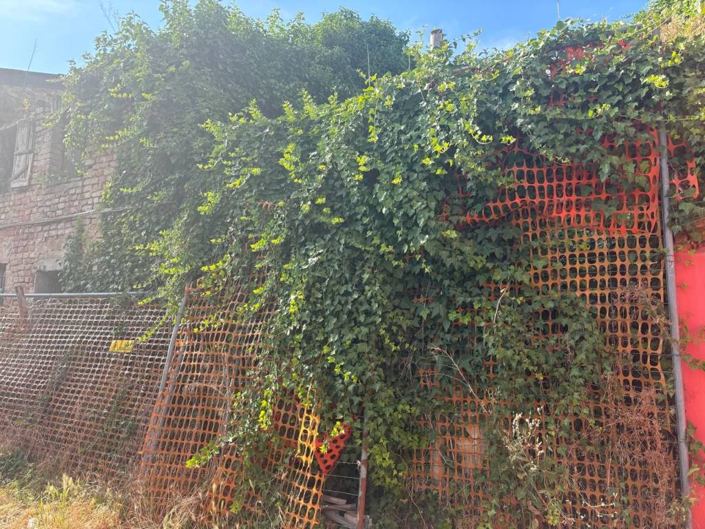 Rustico / casale a Piacenza - Foto 2