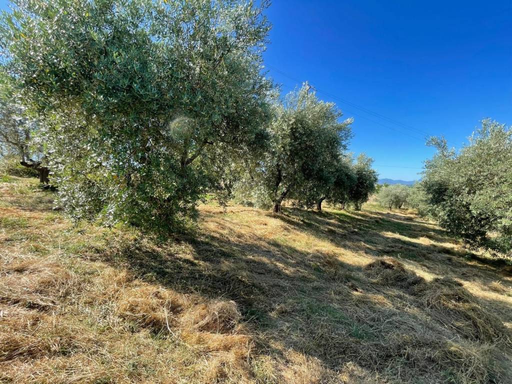 Casa indipendente a Isola del liri in Via San Sebastiano - Foto 5