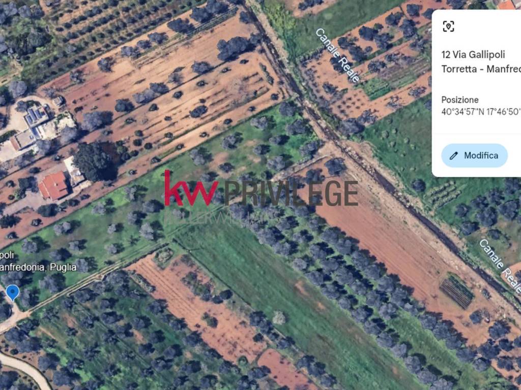 Terreno a Mesagne in Via Gallipoli, 14 - Foto 2