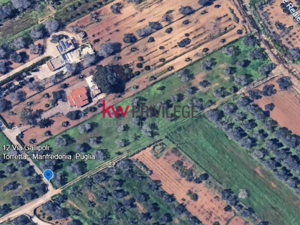 Terreno a Mesagne in Via Gallipoli, 14 - Foto 3