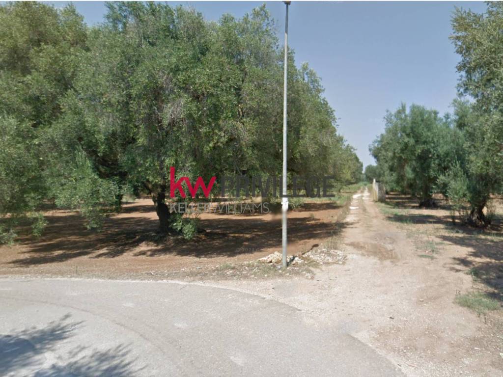 Terreno a Mesagne in Via Gallipoli, 14 - Foto 4