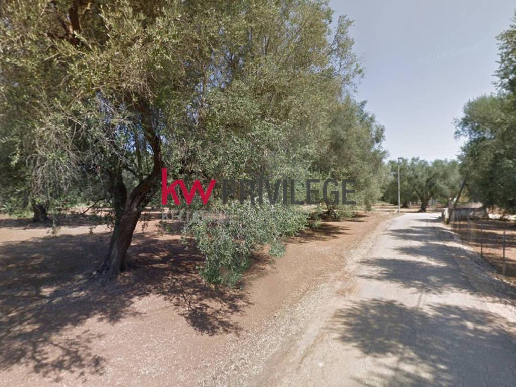 Terreno a Mesagne in Via Gallipoli, 14 - Foto 5