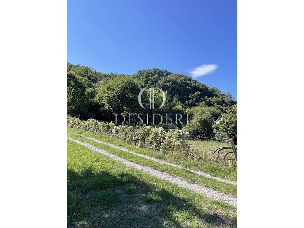 Terreno a Arcidosso in loc. Rondinelli , - Foto 3
