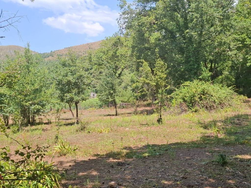 Rustico / casale a Maratea in Via Massa Prato - Foto 4