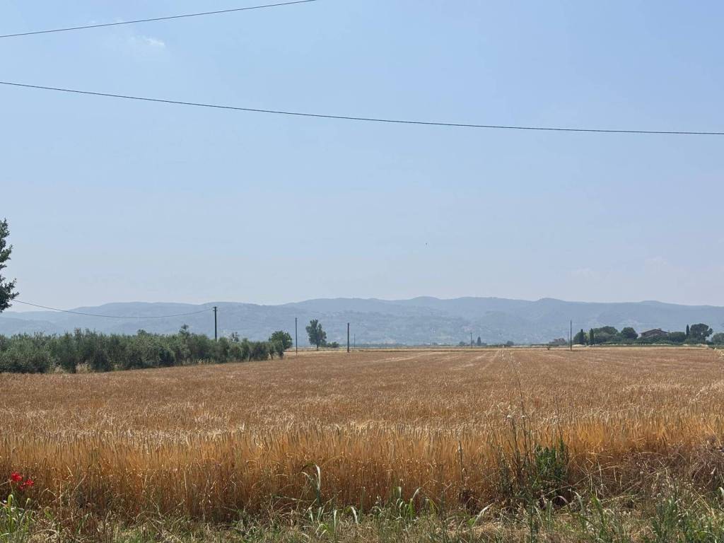 Terreno a Bastia umbra - Foto 2