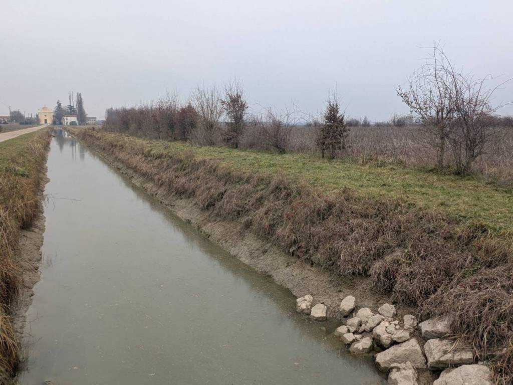 Terreno a Stienta - Foto 2