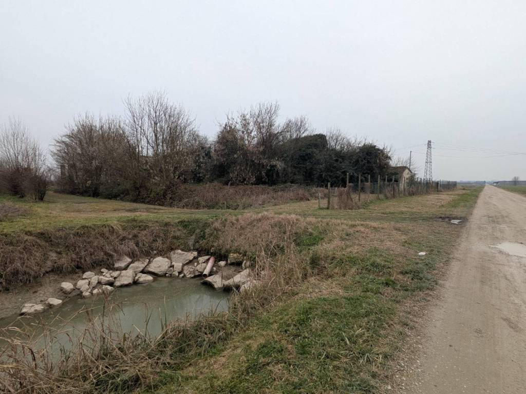 Terreno a Stienta - Foto 3