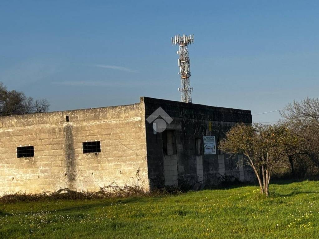 Rustico / casale a Francavilla fontana in Via per Oria - Foto 3
