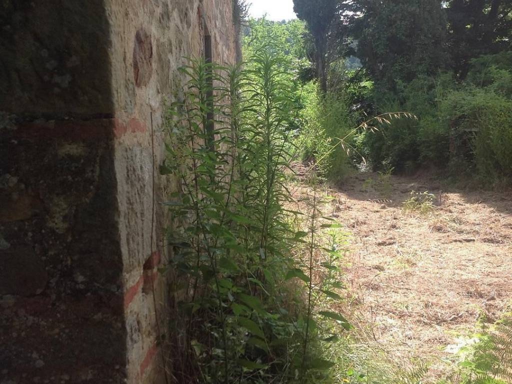 Rustico / casale a Montecatini-terme - Foto 5