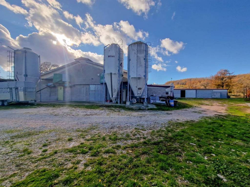 Terreno a Carpegna in strada Provinciale SP112 - Foto 2