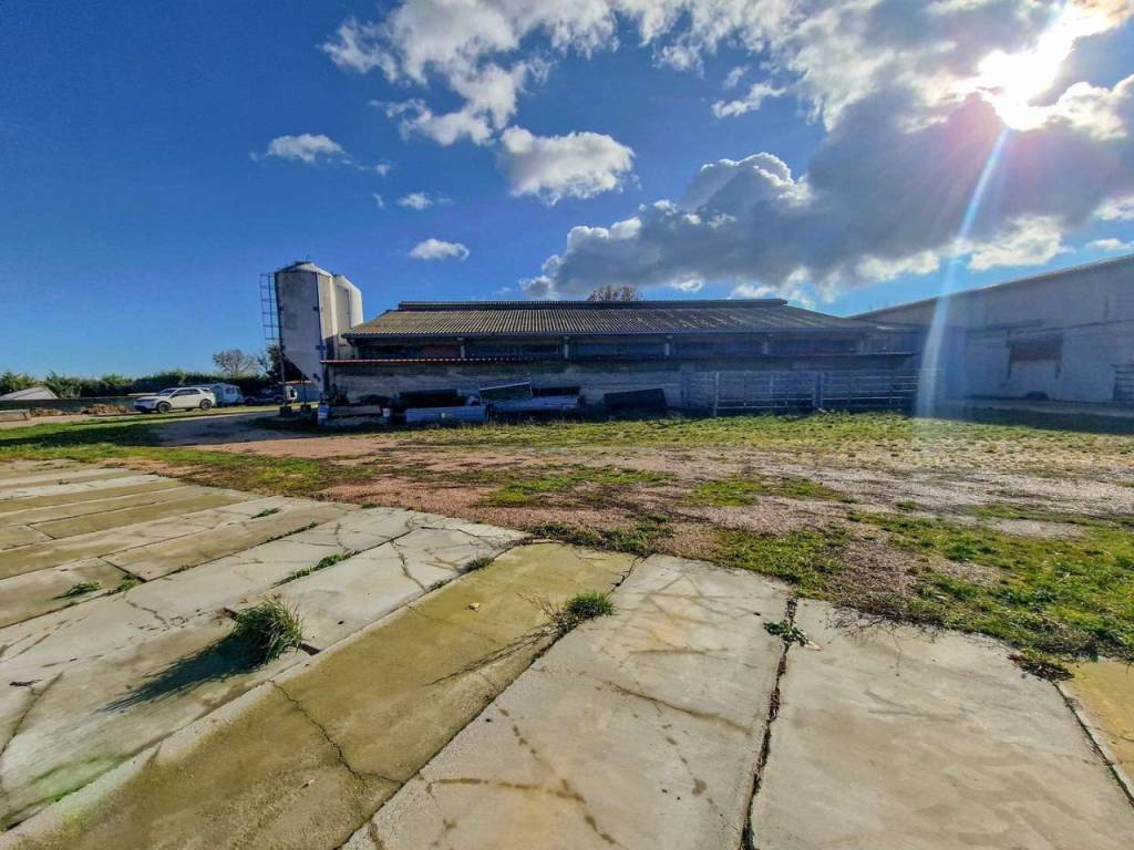 Terreno a Carpegna in strada Provinciale SP112 - Foto 3