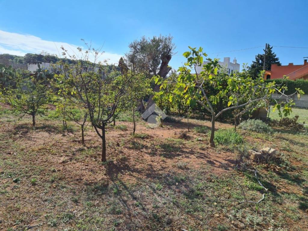 Terreno a Gallipoli in Contrada calamate - Foto 4