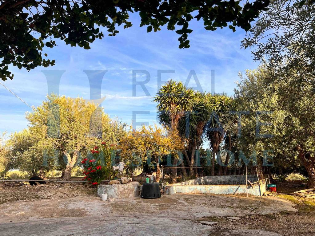 Rustico / casale a Noto in Via Tommaso Fazello, 228 - Foto 4