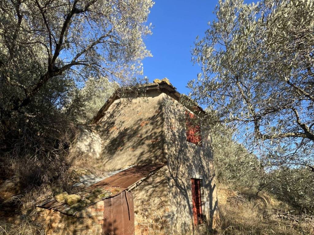 Rustico / casale a Monte argentario in Via dei Maestri d'Ascia - Foto 2