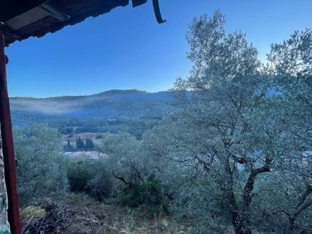 Rustico / casale a Monte argentario in Via dei Maestri d'Ascia - Foto 3
