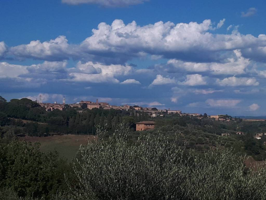 Rustico / casale a Siena in Strada di Terrensano e Belcaro - Foto 4