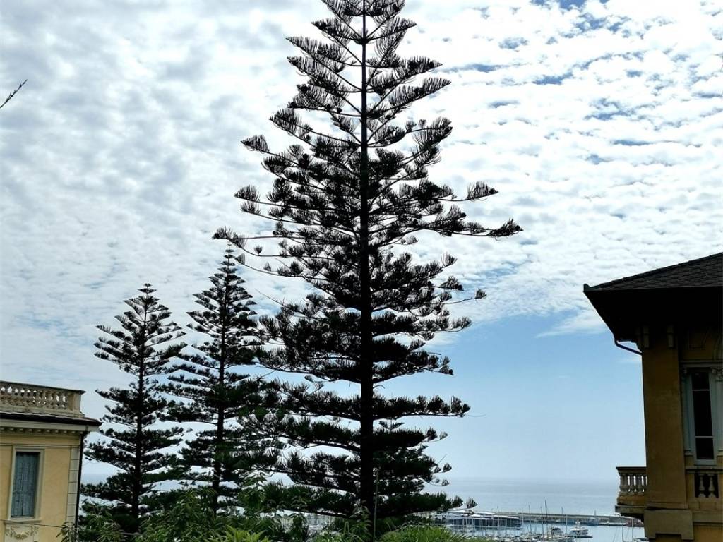 Terreno a Imperia - Foto 5